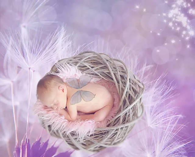 Getrennt und dann? Das NEST – Modell