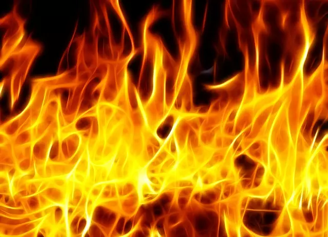 Getestet: Tenderflame, die Bio-Kamine