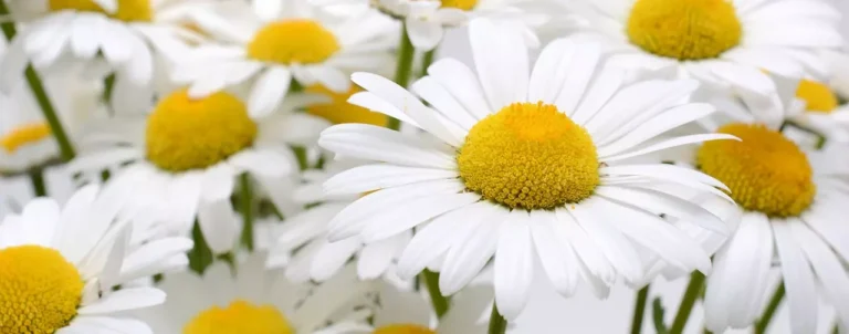 Das hatte keinen Platz mehr im Mutmacher