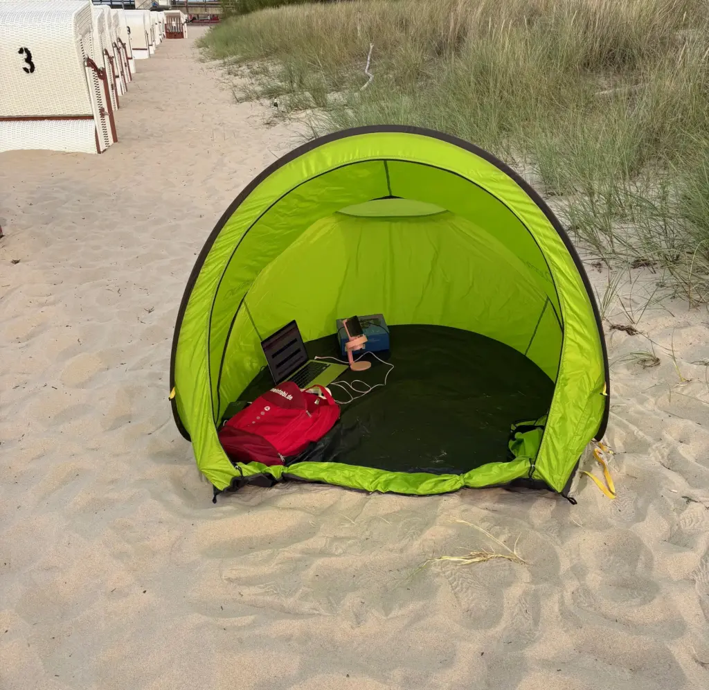 Strandmuschel